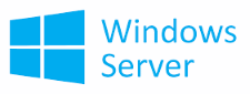 Custom Windows Hosting